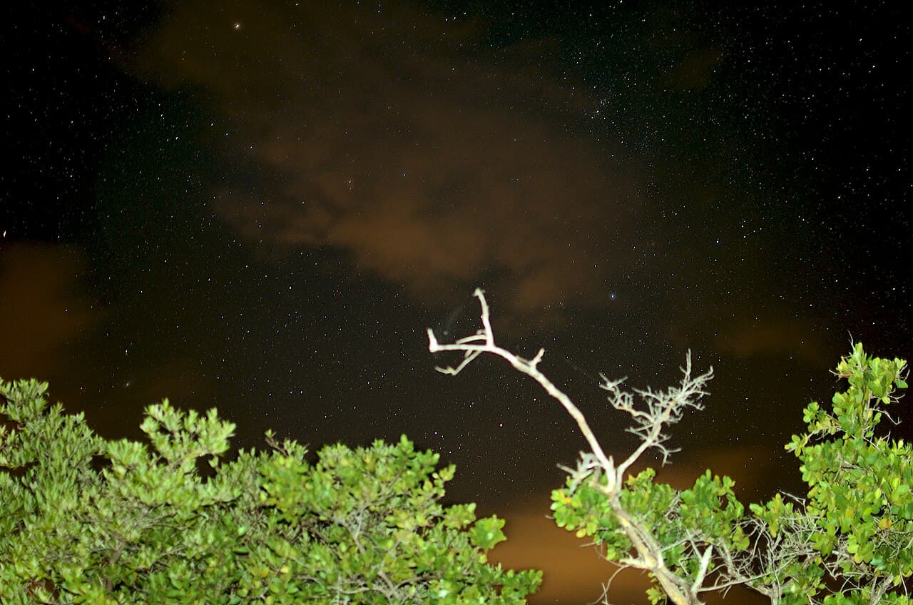 Mosquito Bay on Vieques, Puerto Rico, seen in daylight